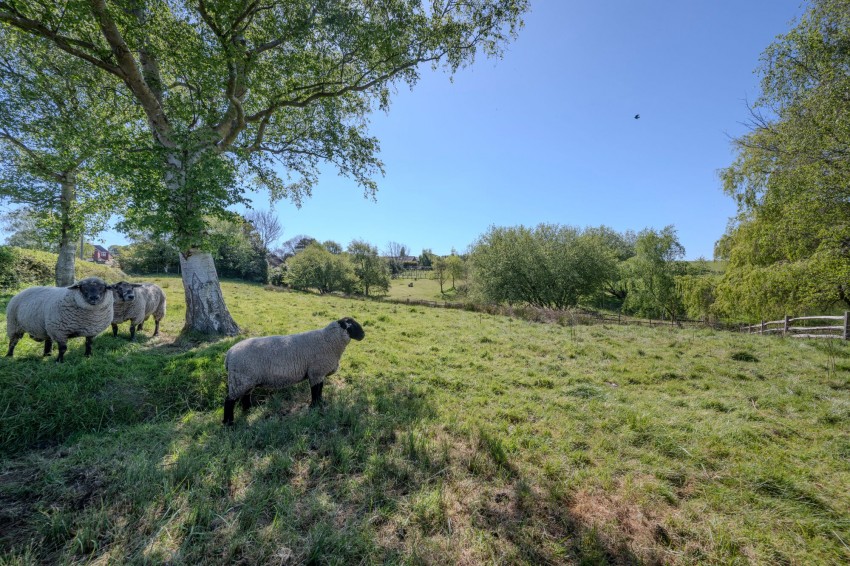 Images for Glynleigh Road, Hankham, BN24