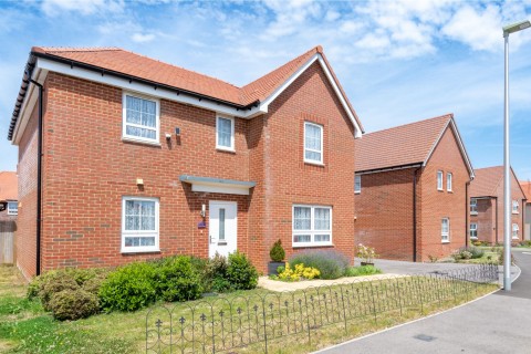 View Full Details for Wooller Street, Eastbourne, BN22